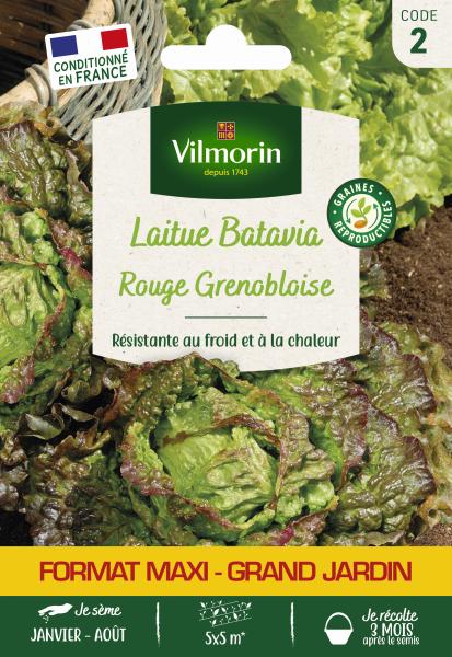 Potagères - Laitue Batavia Rouge Grenobloise - Grand Modèle - face recto